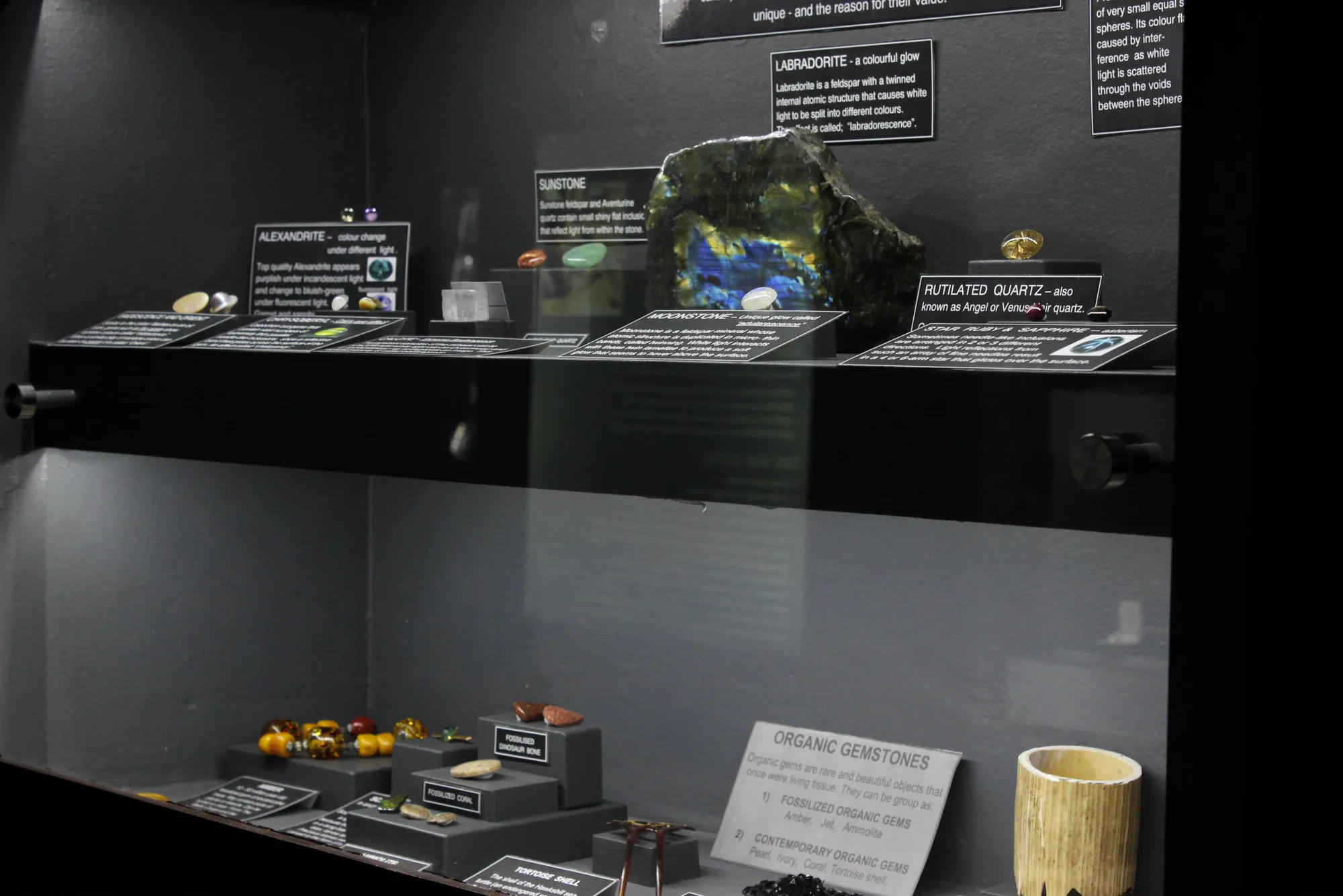 The specialty-stones cabinet in the museum: Alexandrite, Sunstone, Moonstone, Labradorite, Rutilated Quartz, Star Ruby and Sapphire on the upper shelf; fossilised organic gemstones, amber, ammolite, fossilised dinosaur bone, fossilised coral, tortoise shell, on the lower shelf